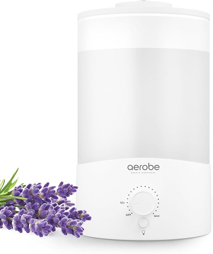 Read more about the article Humidifier