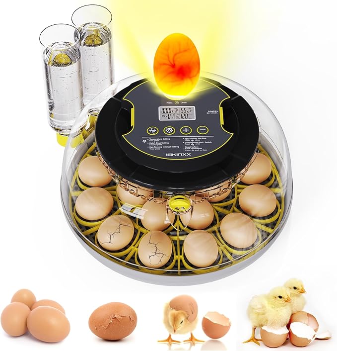 Read more about the article Incubator for Hatching Eggs