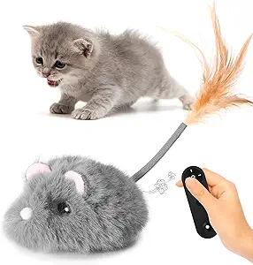 Read more about the article Remote Control Cat Toy