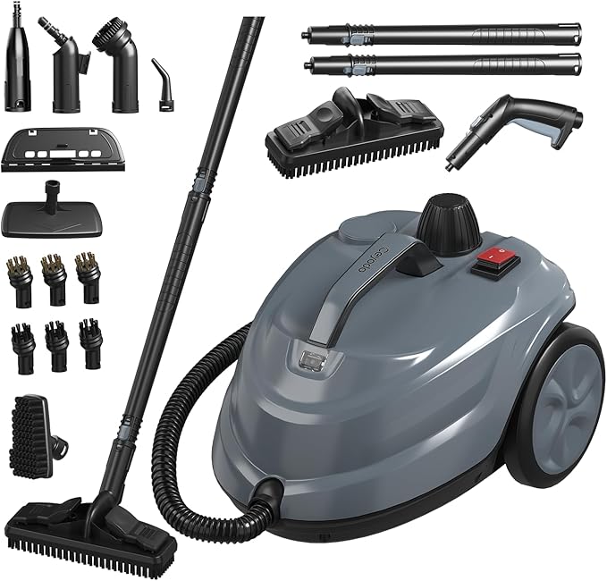 Read more about the article Steam Cleaner