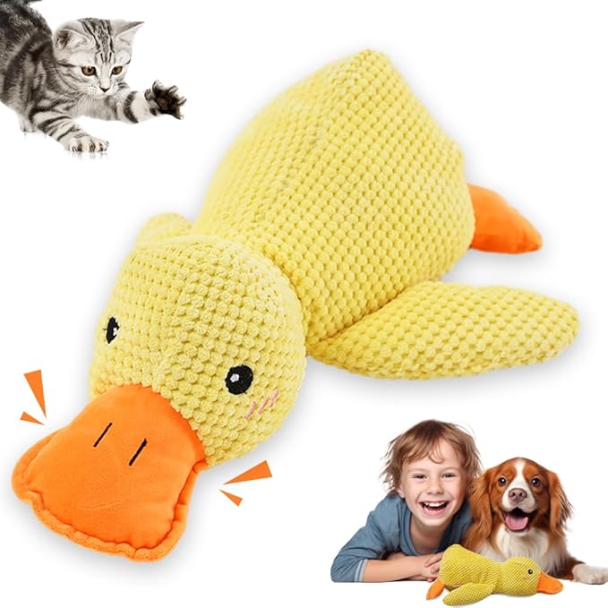 Read more about the article https://amzn.to/43L2xnN