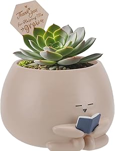 Read more about the article Planter Pot