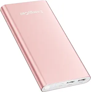 Read more about the article Portable Charger