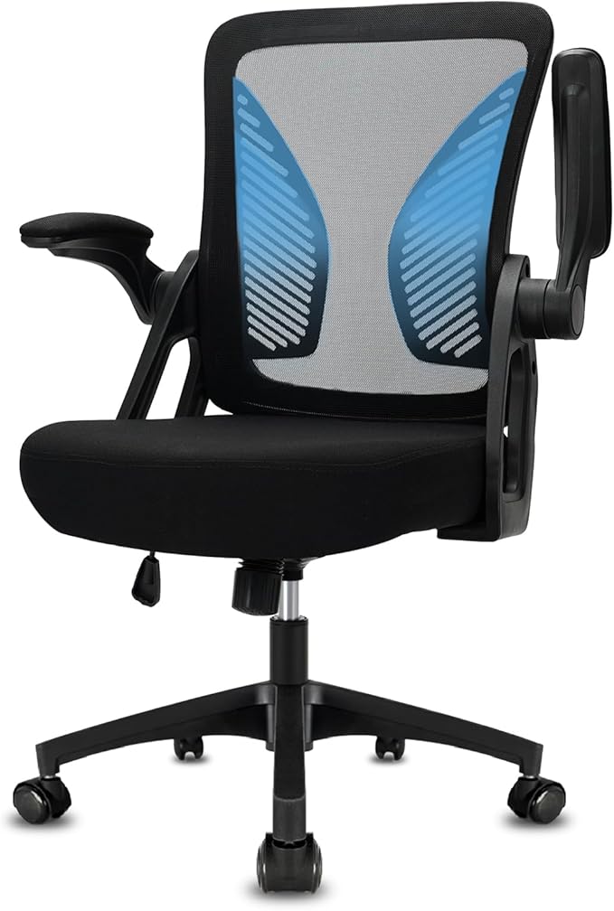 Read more about the article Durrafy Ergonomic Office Chair,High Back Desk Chair with Adjustable Armrest and Lumbar Support,Height Adjustable,Breathable Mesh Backrest for Comfort,Swivel Computer Task Chair for Home/Office, Black
