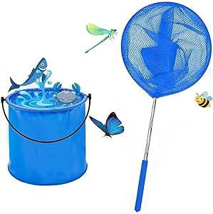 Read more about the article Telescopic Butterfly Nets