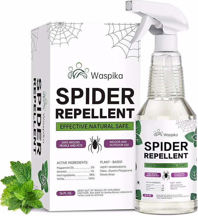 Read more about the article Spider Repellent Indoor