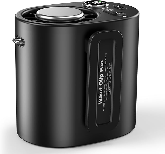 Read more about the article Fan charger