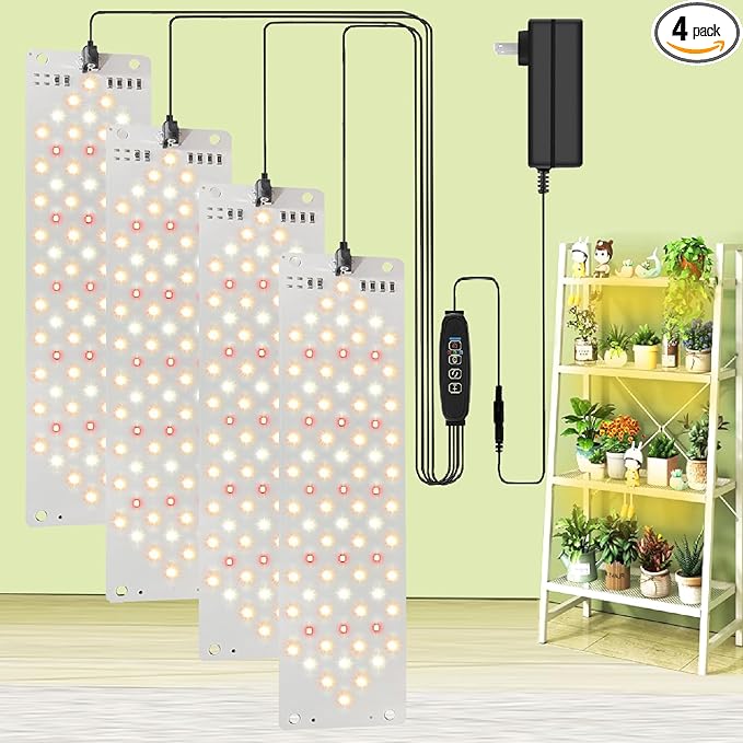 Read more about the article Lights