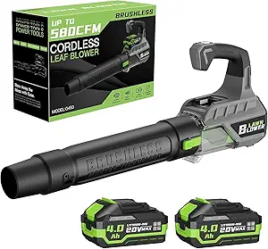 Read more about the article leaf blower