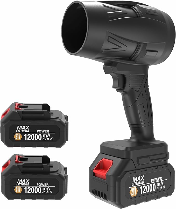 Read more about the article 