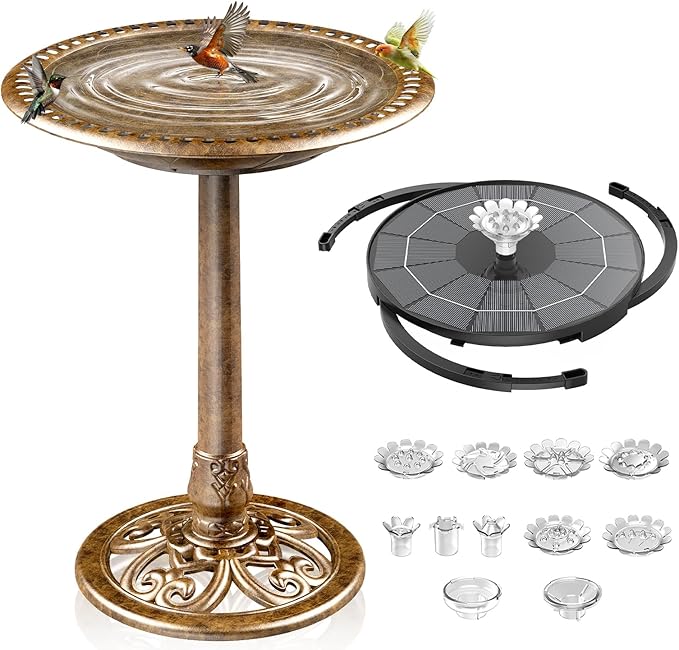 Read more about the article Bird Bath