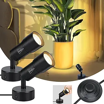 Read more about the article Uplighting indoor