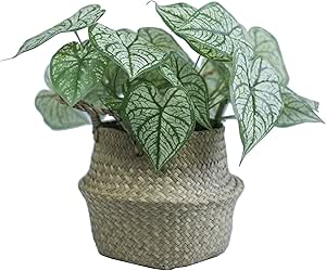 Read more about the article Artificial white heart leaf plant set