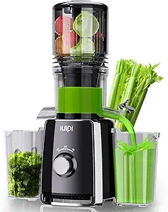 Read more about the article cold press juicer,