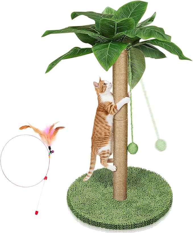 Read more about the article kratzbaum