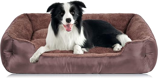 Read more about the article Dog Beds for Large Dogs
