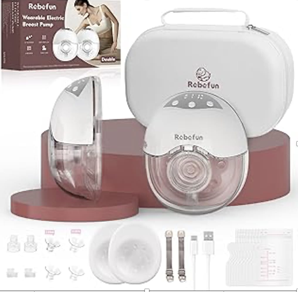 Read more about the article 