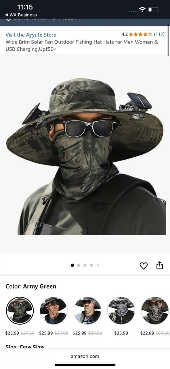 Read more about the article solar fan care