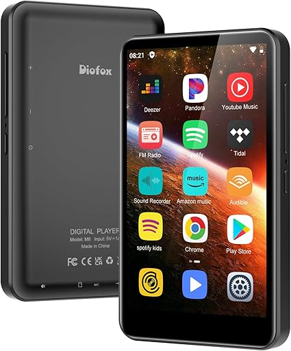 Read more about the article MP3 Player