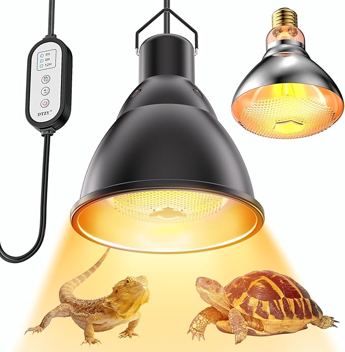 Read more about the article Reptile Light Fixture