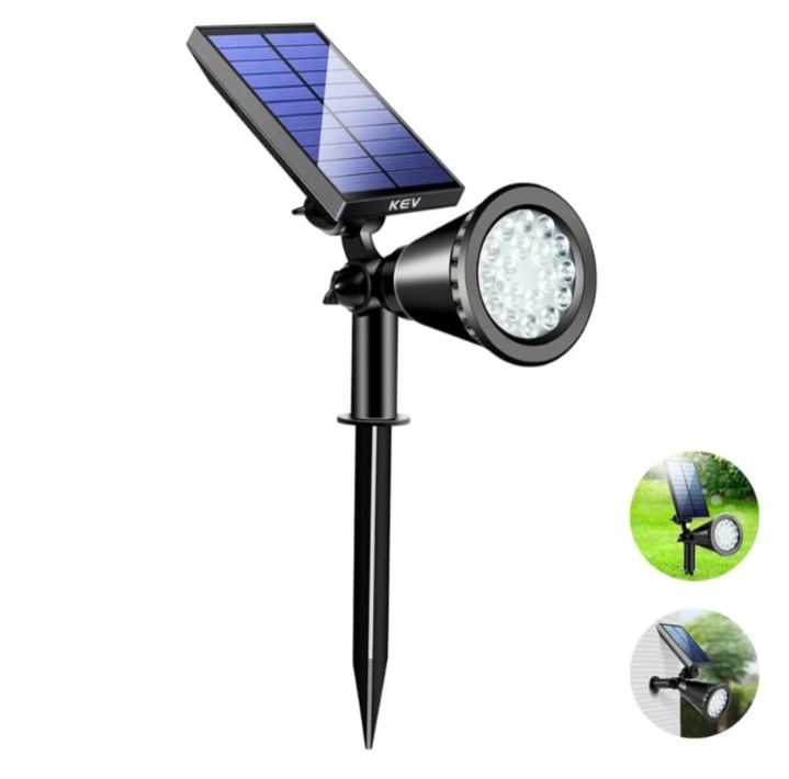 Read more about the article Spot light