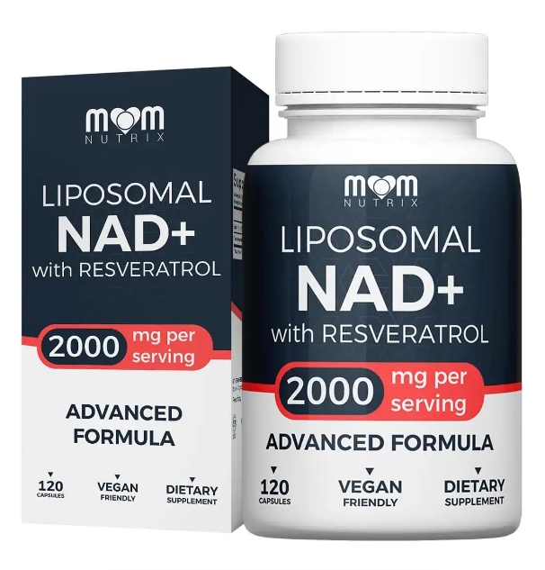 Read more about the article Supplement