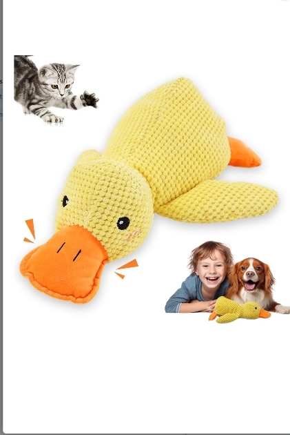 Read more about the article Duck dog