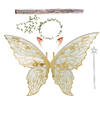 Read more about the article Fairy wings