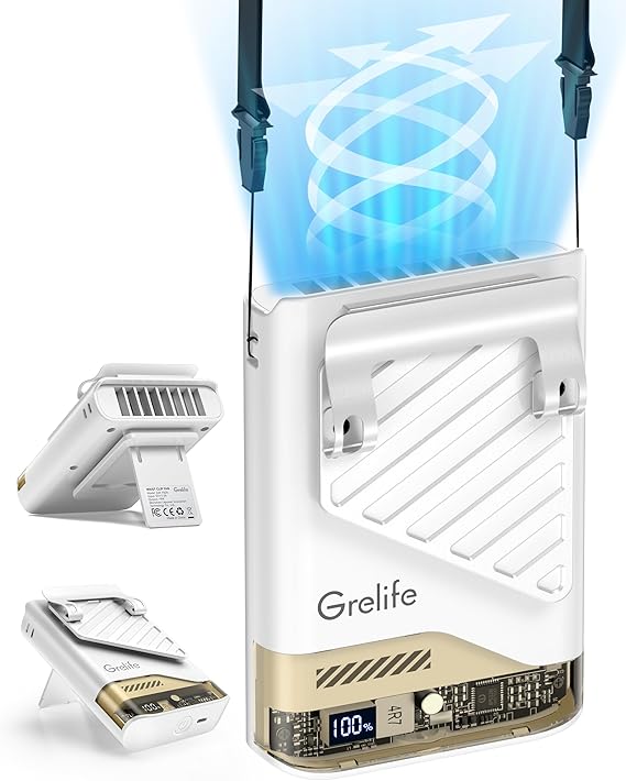 Read more about the article Portable Waist Fan