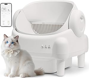 Read more about the article self cleaning litter box