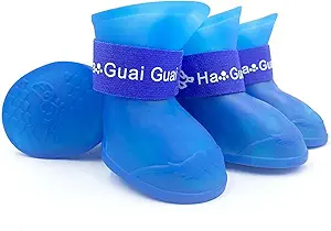 Read more about the article Dog Shoes for Small Dogs