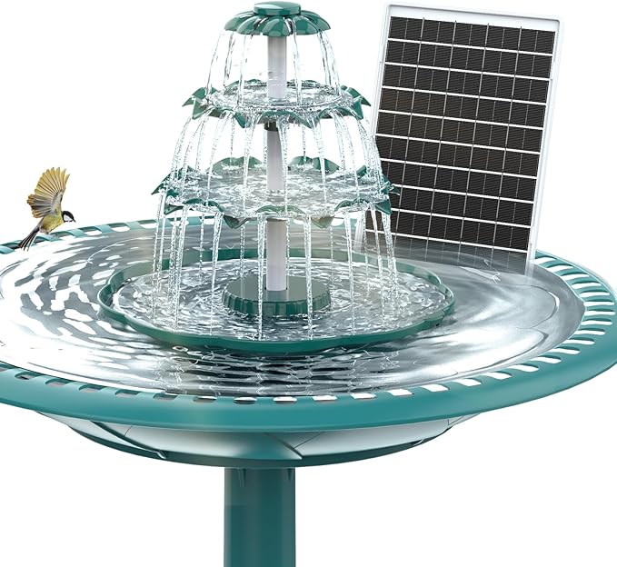 Read more about the article Intimrasierer für Frauen