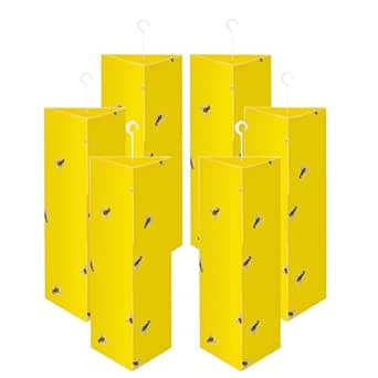 Read more about the article 6 pack fly catcher