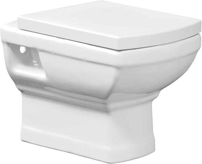 Read more about the article Toilet