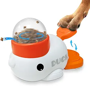 Read more about the article Dog feeder puzzle toy