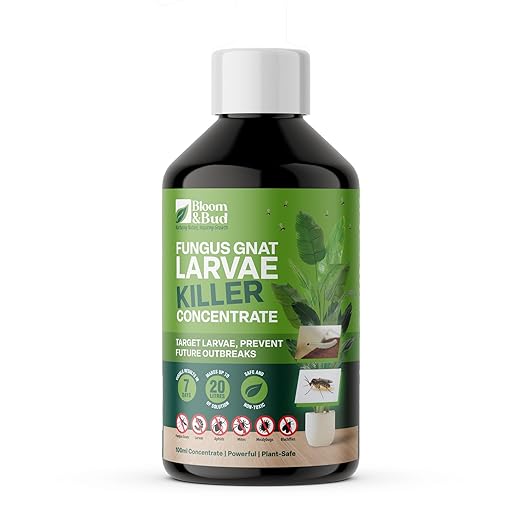 Read more about the article Bloom & Bud Fungus