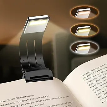 Read more about the article Book Light
