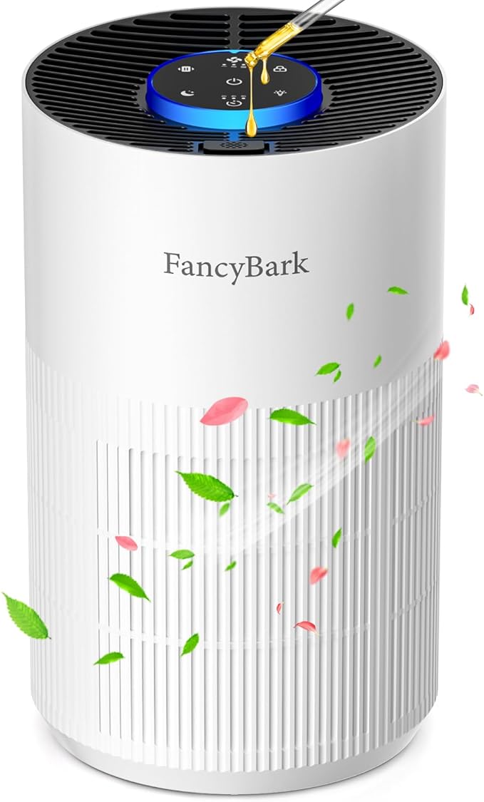 Read more about the article Purifier