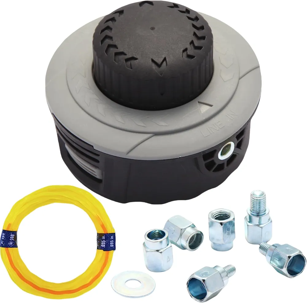 Read more about the article Head