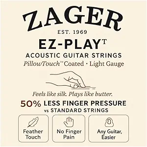 Read more about the article Zager Easy Play Guitars