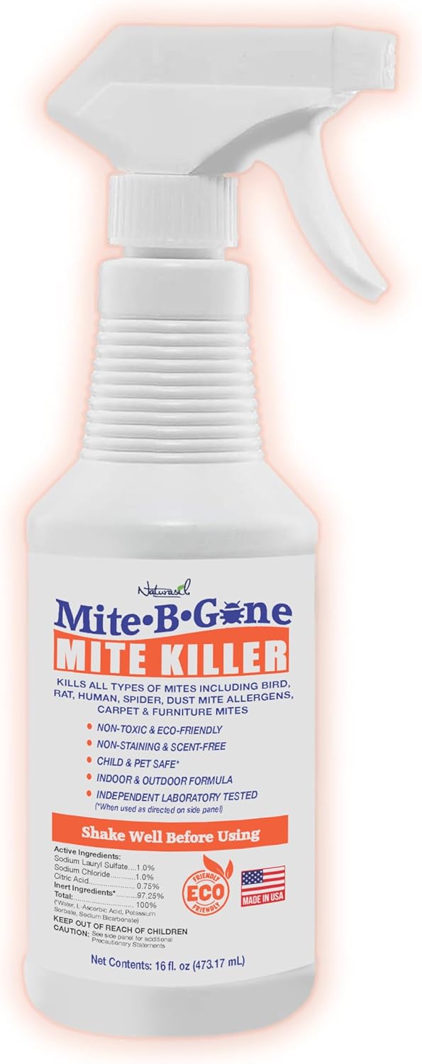 Read more about the article Mite killer spray