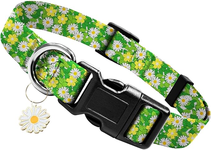Read more about the article Dog Collar Green Daisy