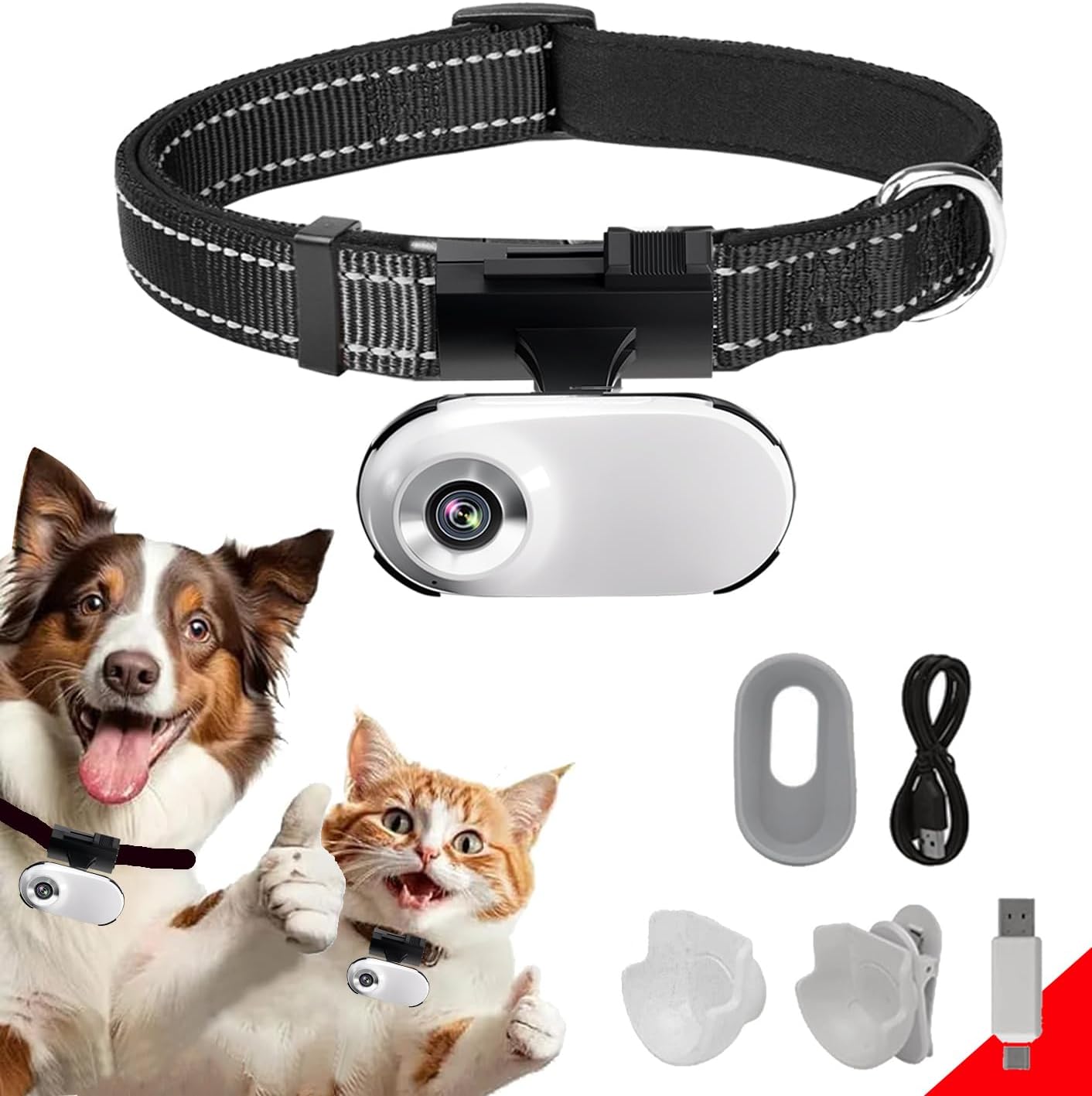 Read more about the article HD 1080P Cat Camera