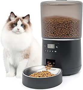 Read more about the article Automatic Cat Feeder
