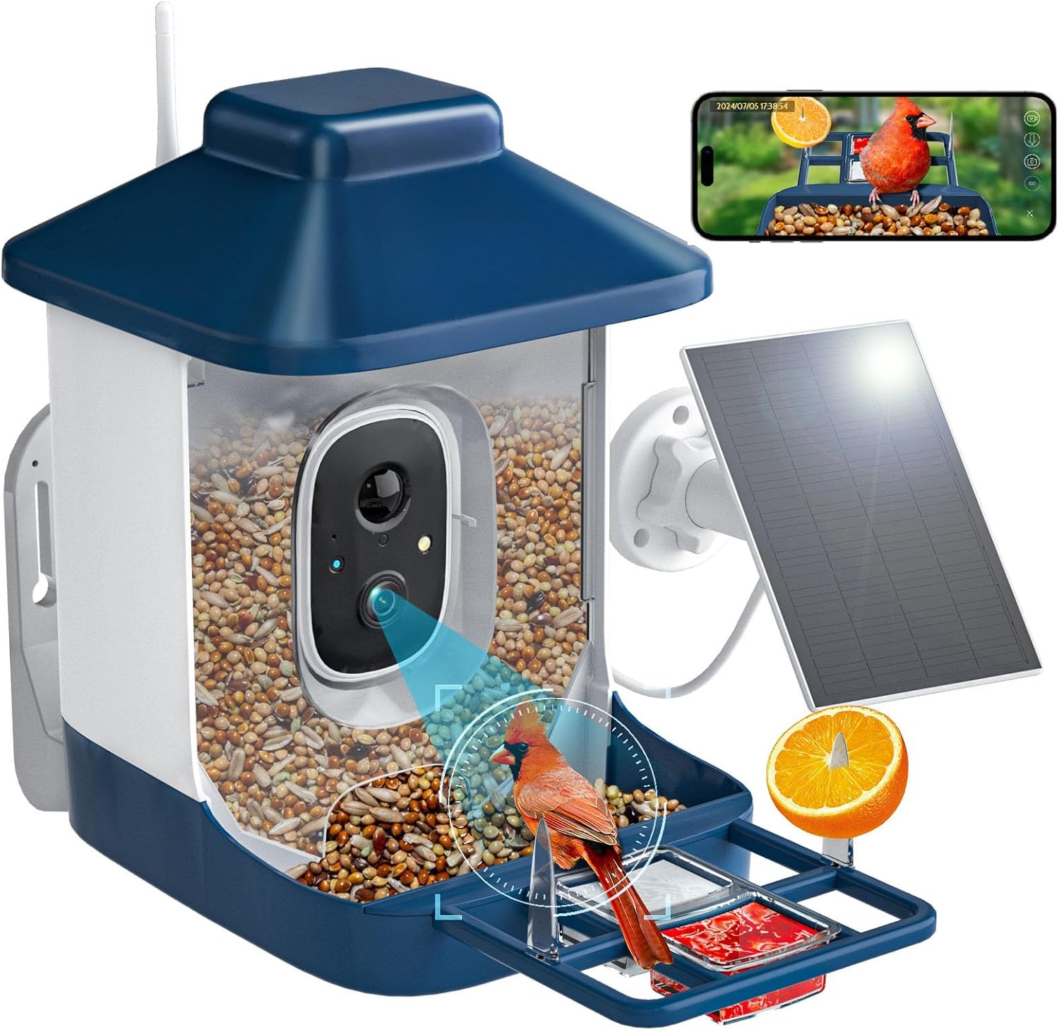 Read more about the article bird feeder with camera