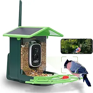 Read more about the article Bird Feeder with