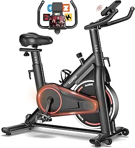 Read more about the article Exercise Bike with App, SLUNSE Quiet Home Trainer Ergometer with LCD Monitor