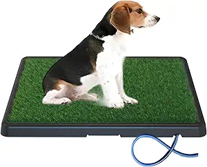 Read more about the article Portable Drainage Pet Urinal,Toilet,Grass Mat