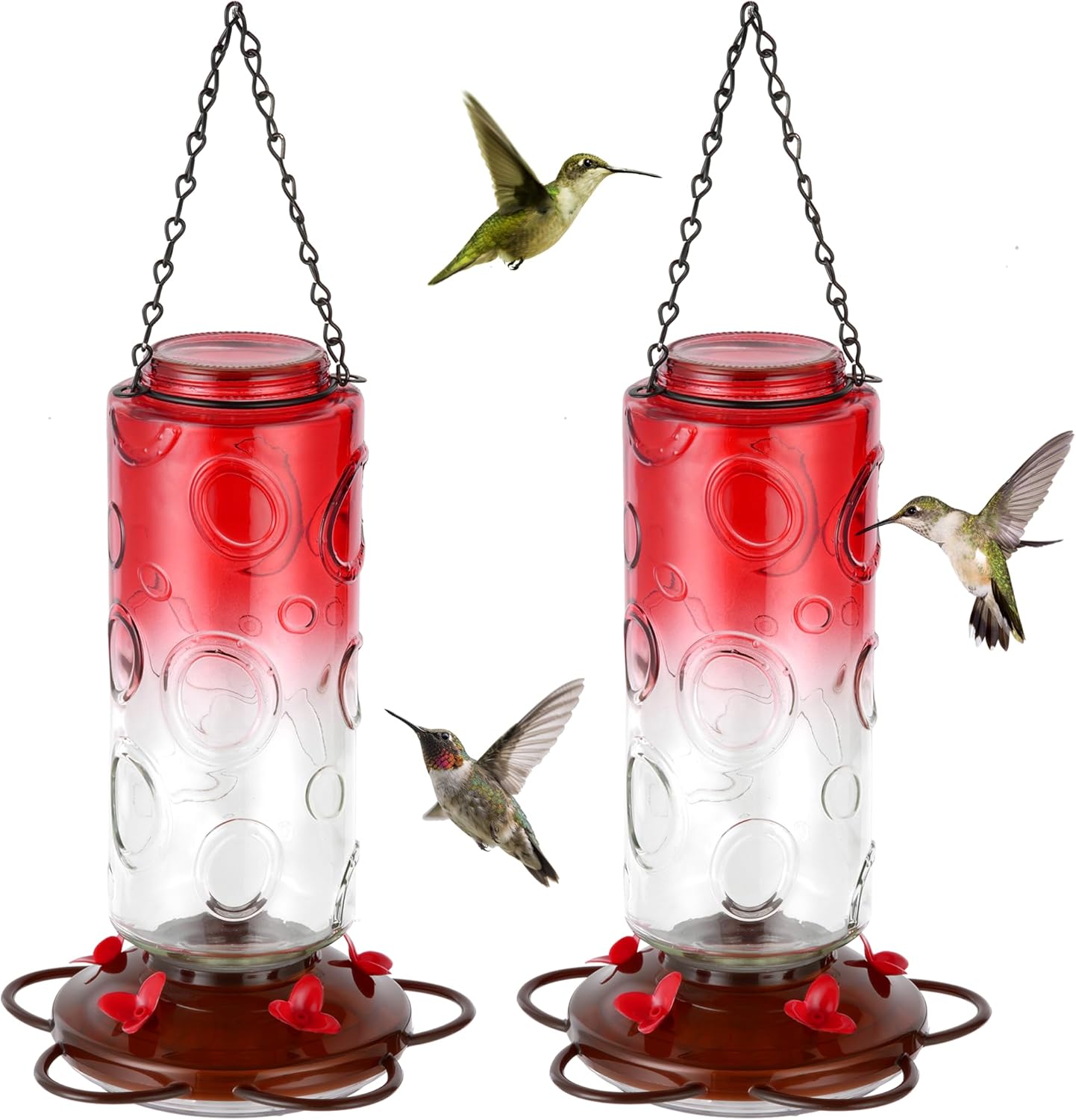 Read more about the article Large Capacity Hummingbird Feeders