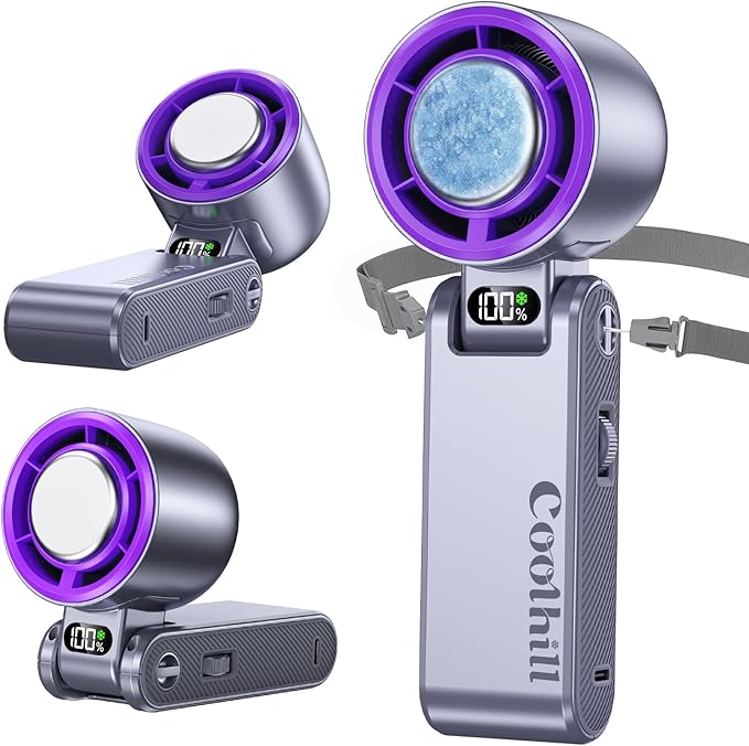 Read more about the article Handled fan